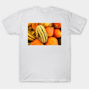Autumn Medley T-Shirt